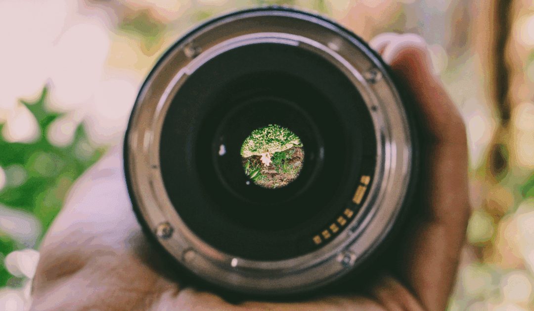 Choose Your Perspective