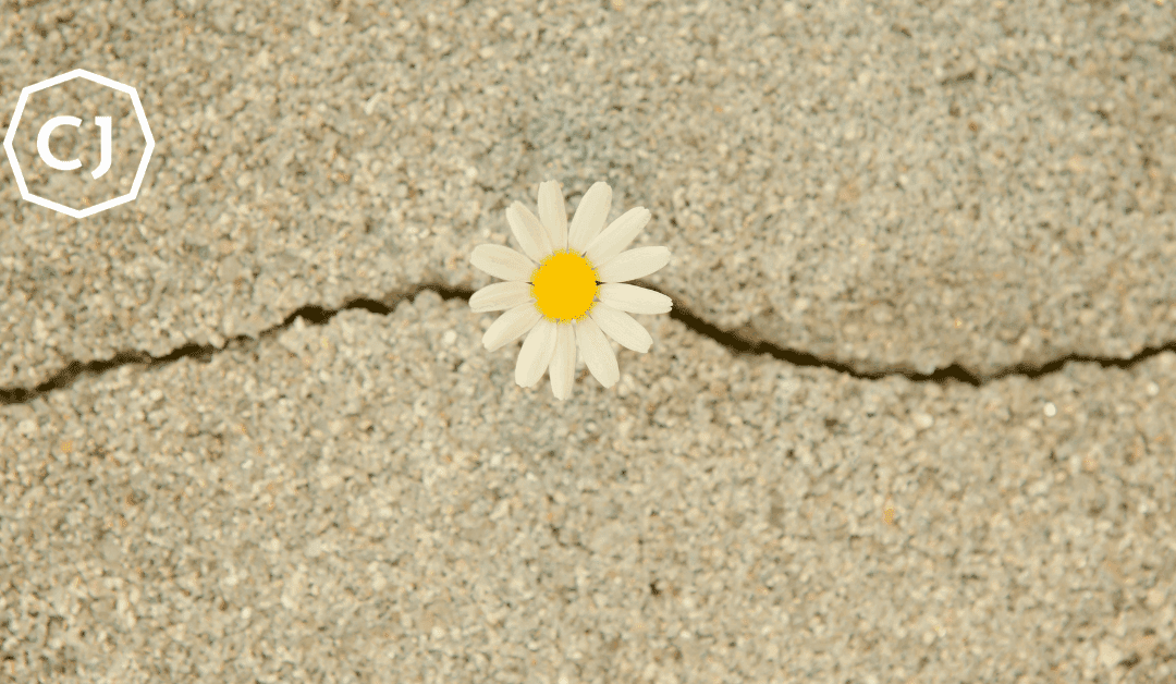 3 Tactics to Dispel Dissatisfaction