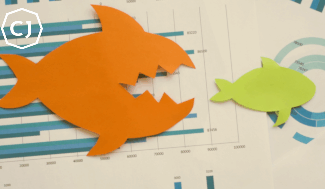 Two Questions to Dispel Fear