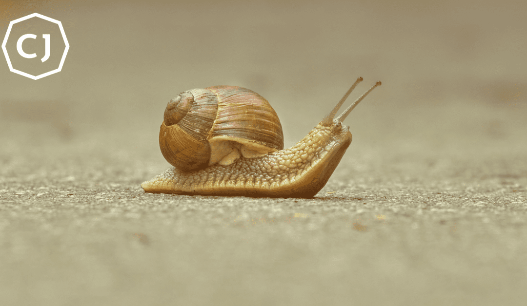 Ready for an Experiment?