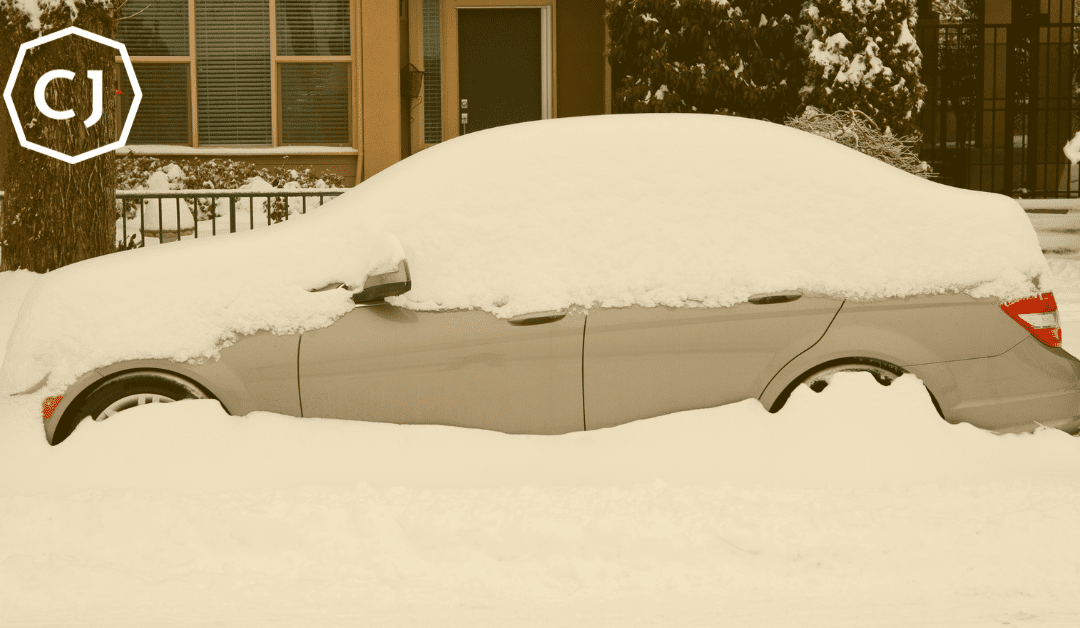 Finding Joy in the Winter Doldrums